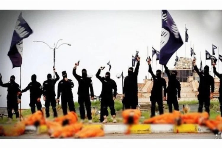 IŞİD 503 kişiyi infaz etti mi?