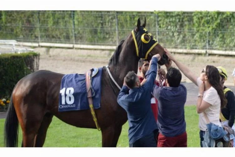 Işın Karaca atı Vakıfhan için Bursa'da