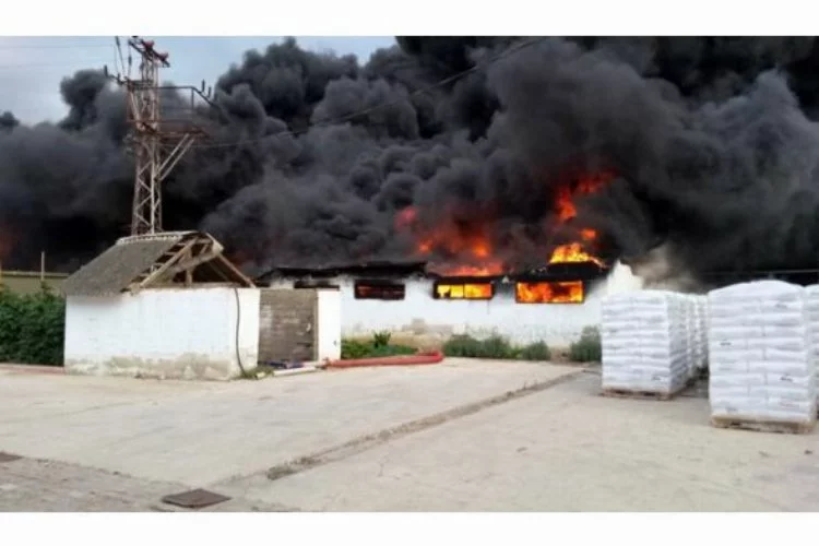 Bursa'daki ambalaj fabrikası alev alev yandı