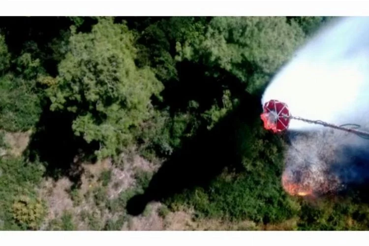 Bursa'da orman yangını yeniden başladı