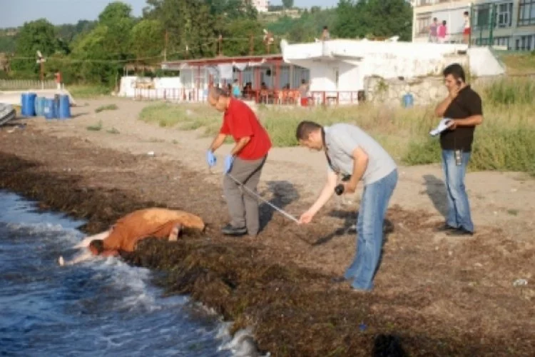 Yalova'da sahile ceset vurdu