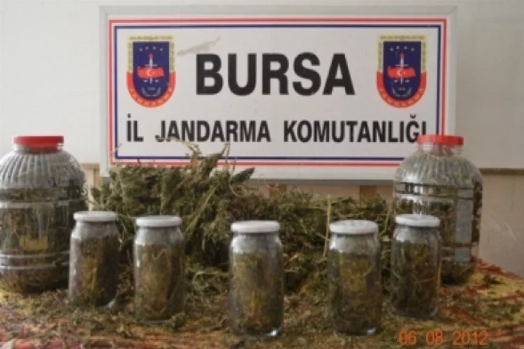 Bursa'da 15 kilo kubar esrar maddesi ele geçirildi