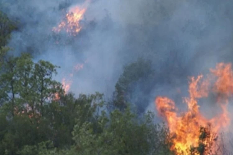 Harmancık'ta orman yangını çıktı