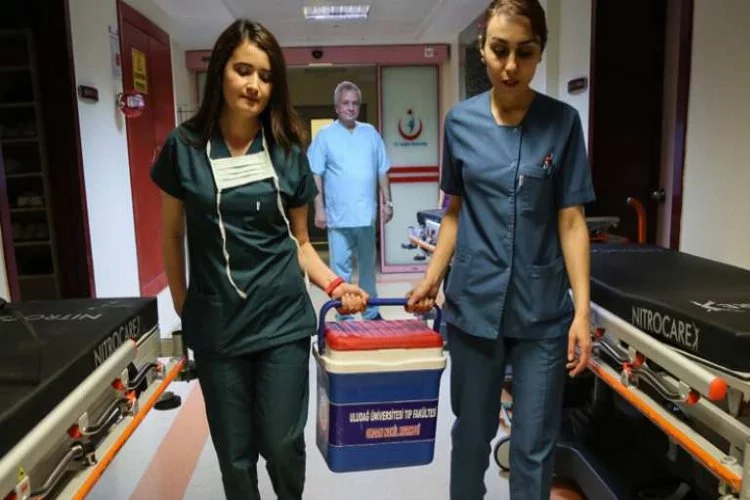 Bursa'da böbrek bekleyen hastanın karaciğeri umut oldu