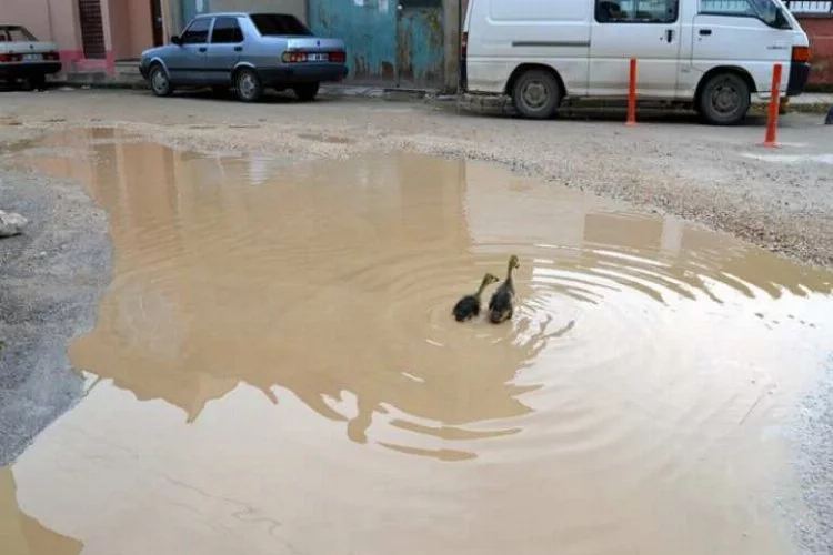 Bursa'da göle dönen cadde ördeklere kaldı