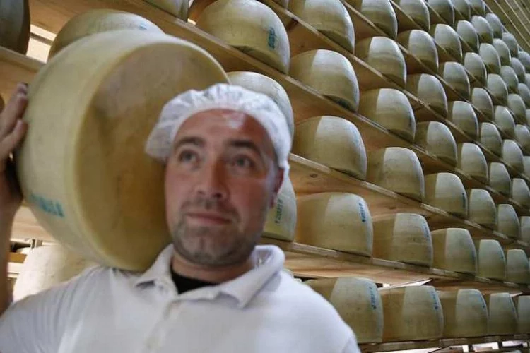 Avrupa'nın ünlü peynirleri Türkiye'den