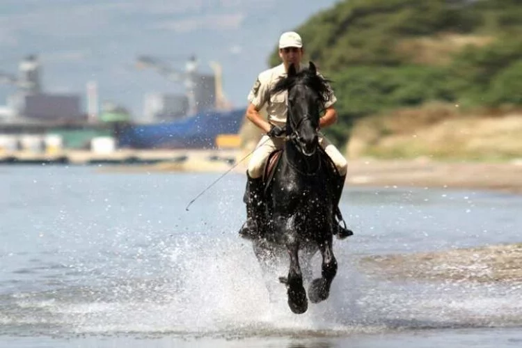 TSK'nın muhafız atları Bursa'da eğitiliyor