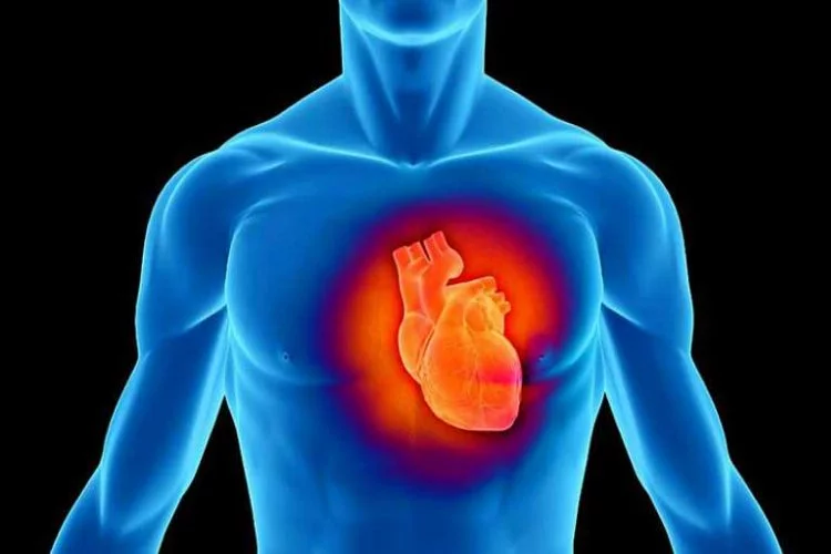 Kalp ve damar hastalarına önemli uyarı