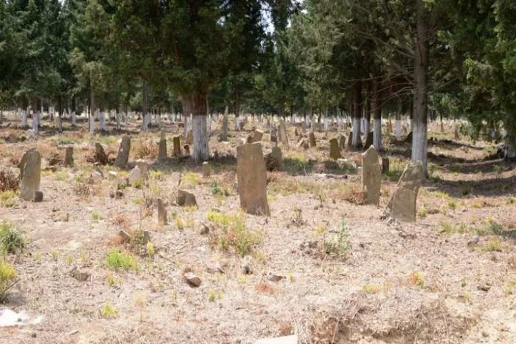 Şehit mezarları ortaya çıktı