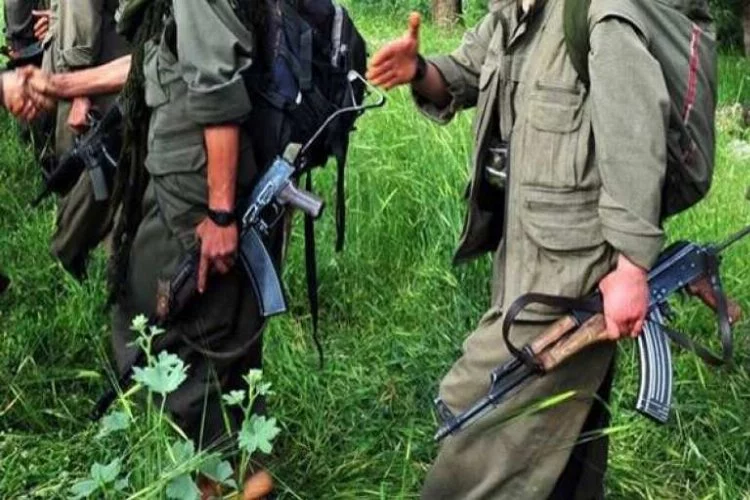 PKK şokta! O terörist yakalandı
