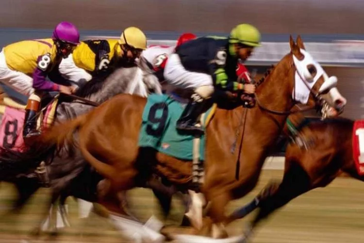 TJK'dan flaş karar! At yarışları iptal edildi