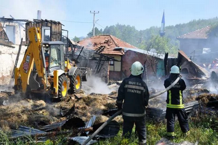 Bursa'da evleri ve samanlıkları kül eden yangında 6 inek telef oldu