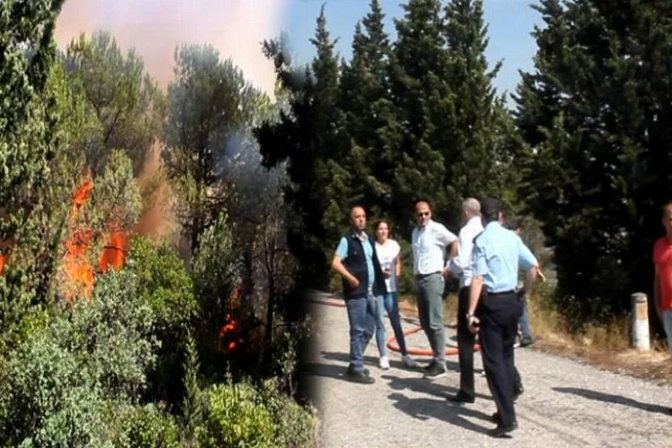 Bursa'da büyük orman yangını kontrol altında