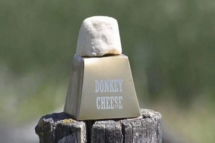 Dünyanın en pahalı peyniri eşek sütünden!