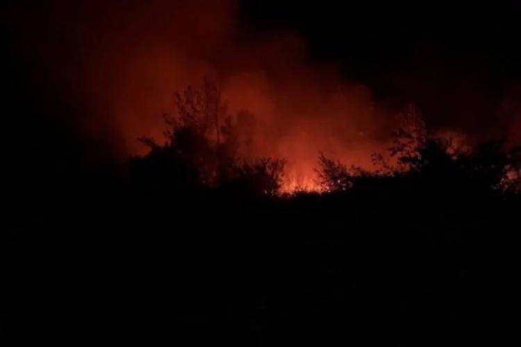  İznik'te orman yangını