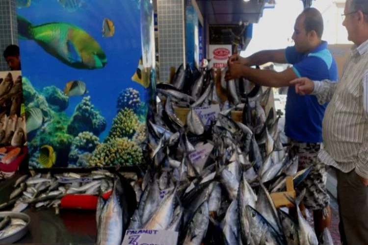 Balık fiyatları düştü, vatandaşın yüzü güldü