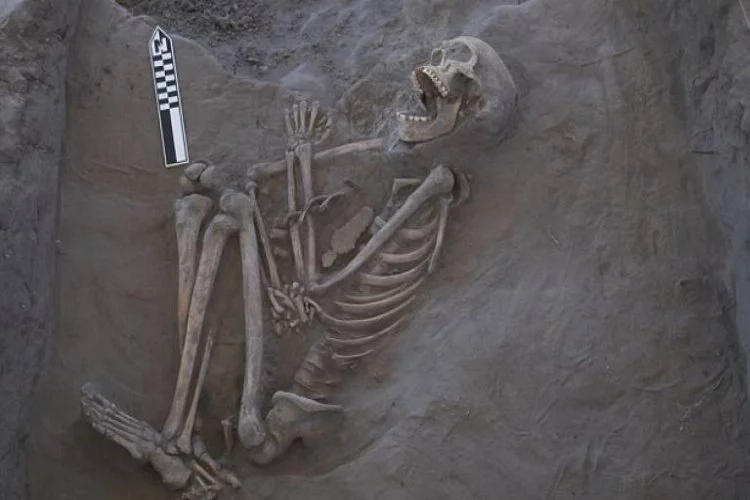 İşte 800 yıllık iskeletin ölüm nedeni 