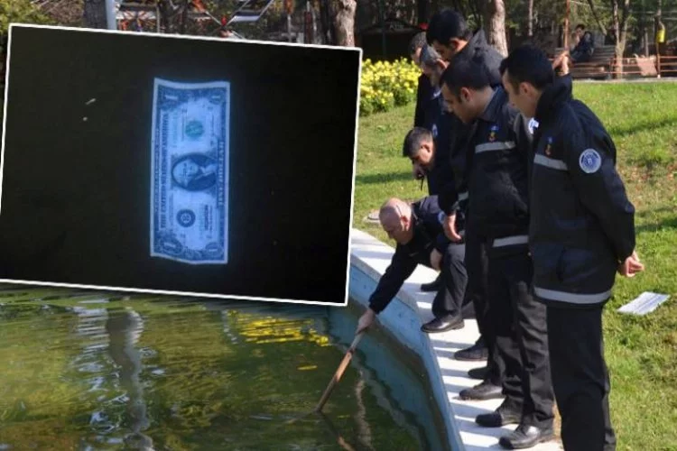 Bursa'da göle atılan 1 dolarlık banknot alarmı!