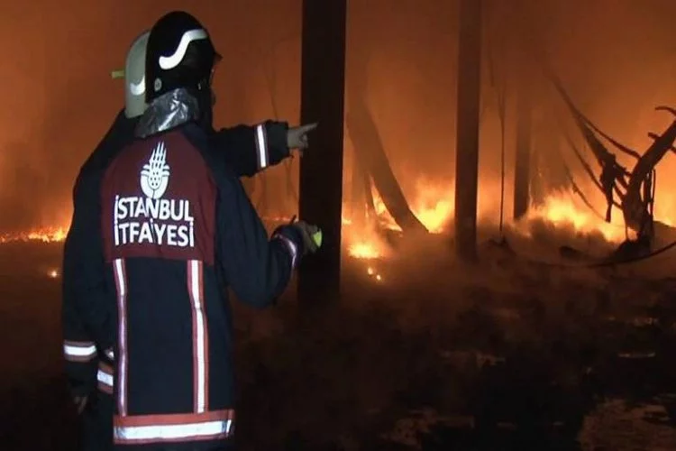 Gece yarısı korkutan fabrika yangını