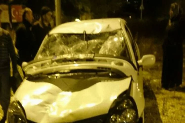 Bursa'da otomobilin çarptığı at öldü, araç  pert oldu