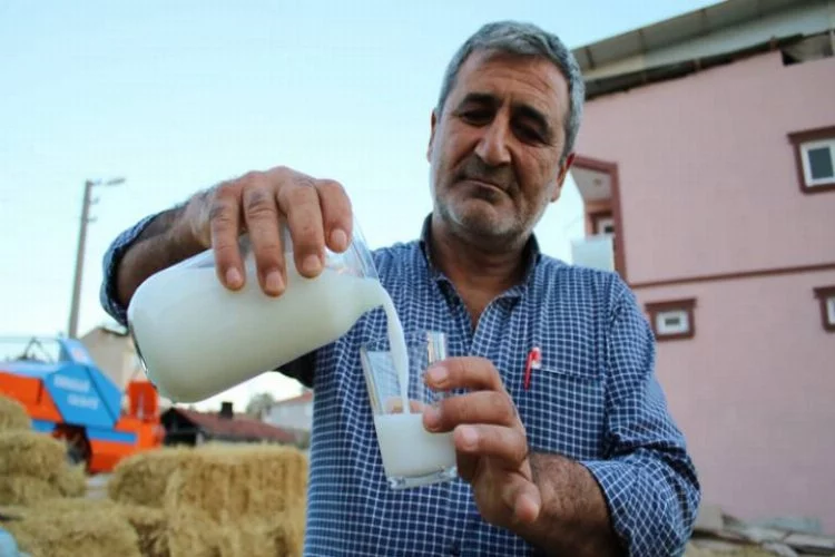 Bursa'da üretilen eşek sütüne büyük ilgi