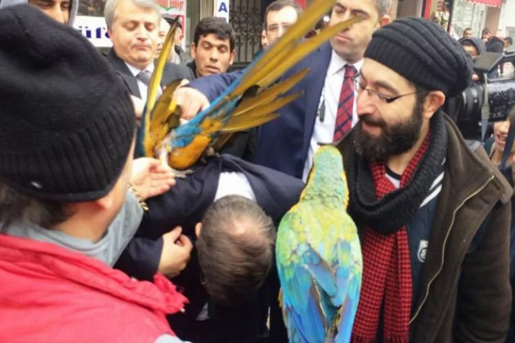 Bursa'da eski Başbakan Davutoğlu'na papağan saldırdı!