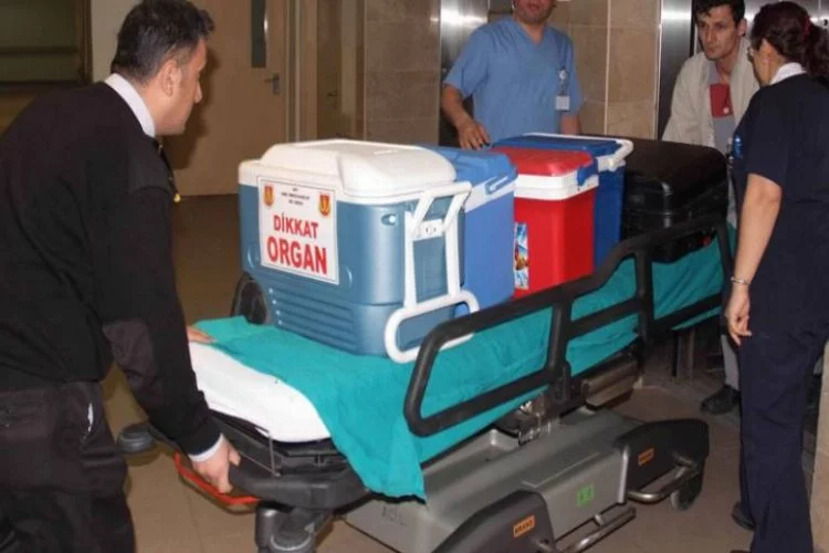 Organ nakli bekleyen hastalar Bursa'ya taşınıyor!