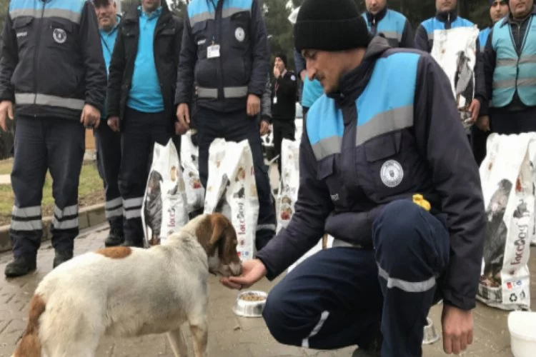 Bursa'da sokak hayvanlarına yem dağıttılar