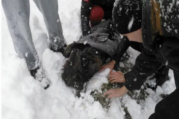 Bursa'da donmak üzere olan köpek son anda kurtarıldı