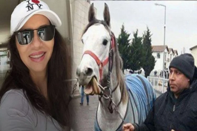 Ünlü jokey atını Katarlı kadına sattı