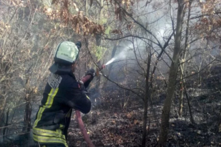 Bursa'da korkutan orman yangını! 6 saatte...