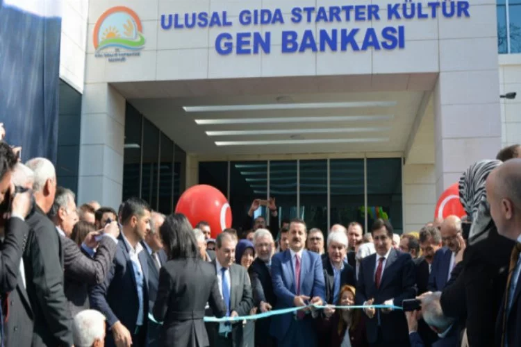 Bakan Çelik, Bursa'da Gen Bankası'nın açılışını yaptı