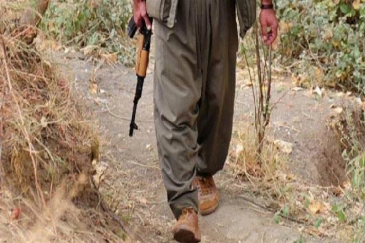 PKK'nın 21 numaralı teröristi yakalandı