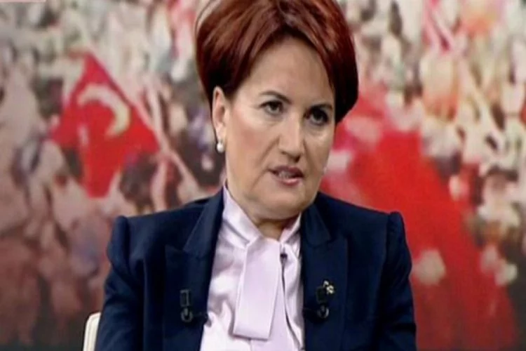 Meral Akşener'in yeni partisi o mu olacak?