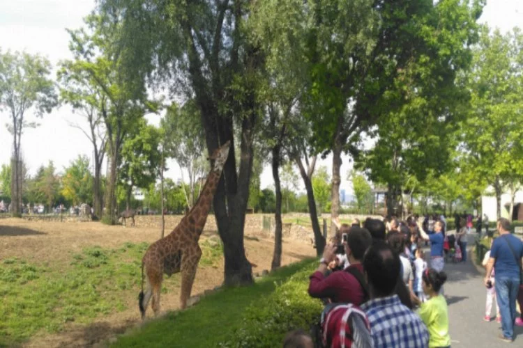 Bursa'da hayvanat bahçesine ziyaretçi akını