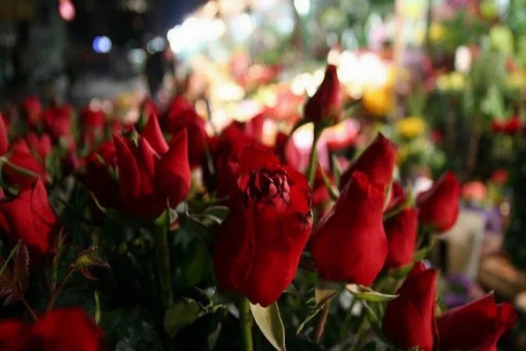 'Anneler Günü' çiçek satışlarını patlattı