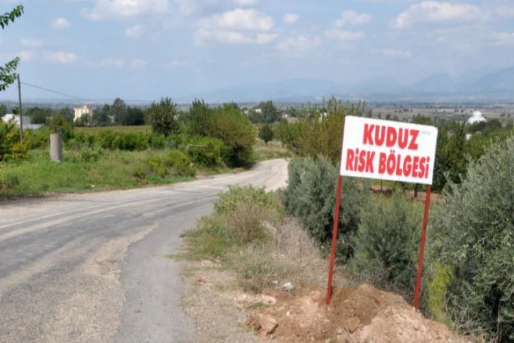 Bursa'da kuduz alarmı