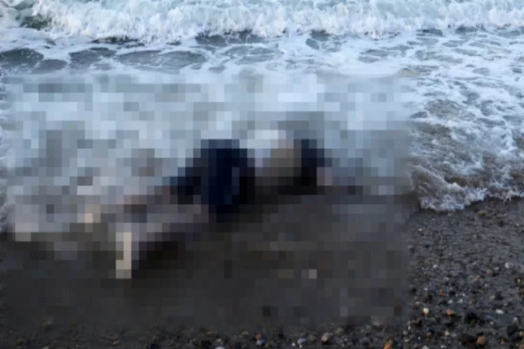 Bursa'da denizde ceset şoku