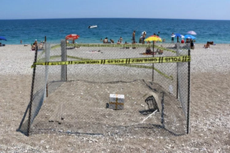 Burası Antalya... Polis ihbar üzerine plaja geldi ve...