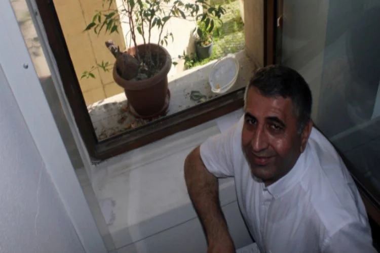 Bursa'da kumrular savcının penceresinde kuluçkaya yattı