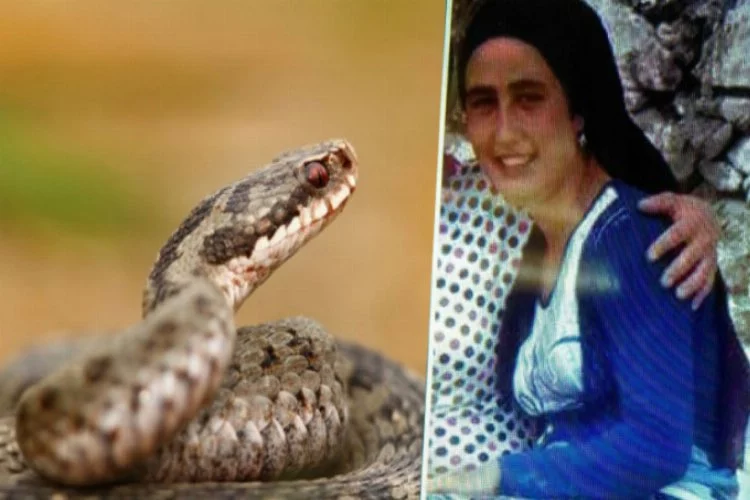 Genç kızı yılan korkusu öldürdü