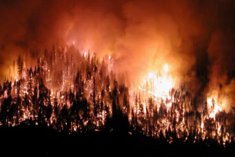 4 il için orman yangını uyarısı