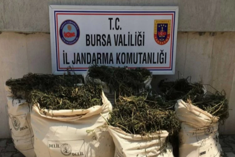 Bursa'da gölde uyuşturucu operasyonu