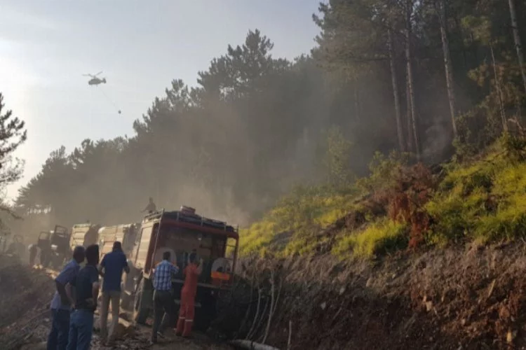 Bursa'da orman yangını.. 4 helikopter ile...