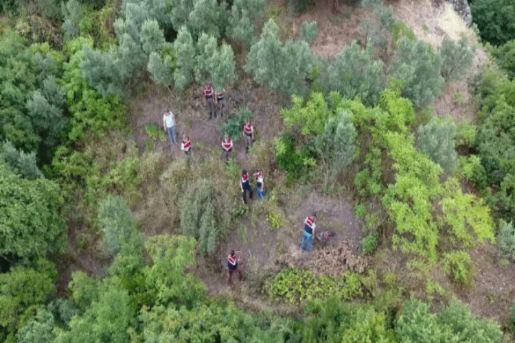 Bursa'da Jandarma'dan drone'lu uyuşturucu baskını