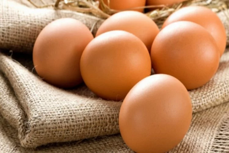 Güney Kore, yumurta üretimini yasakladı