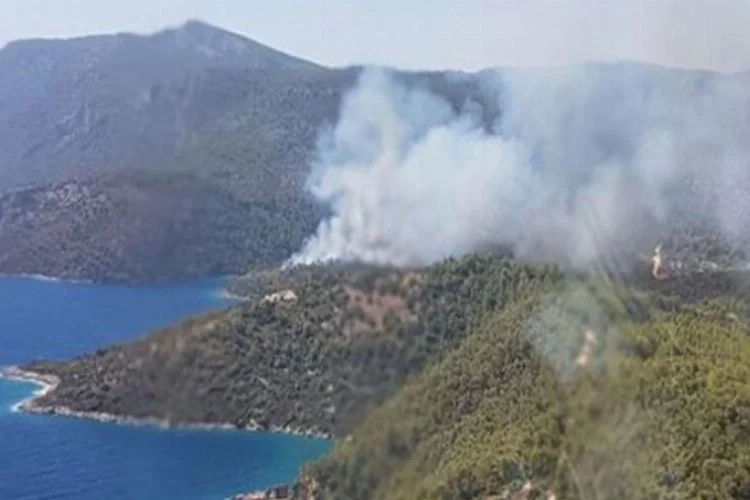 Milas'ta orman yangını çıktı