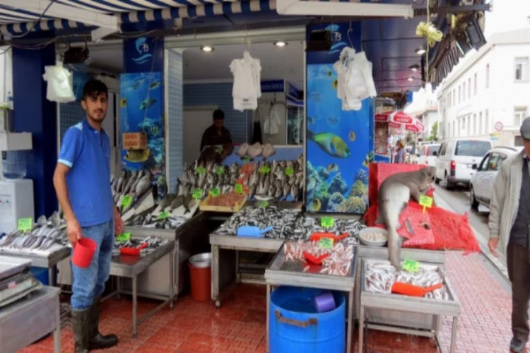 Bursa'da balık tezgâhları pahallı açıldı