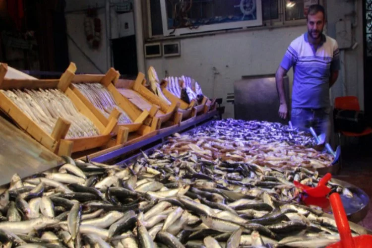 Bursa'da balık fiyatları ucuzladı
