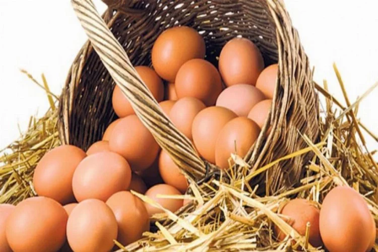 Türkiye'deki yumurtalarda haşere ilacı tespit edilmedi